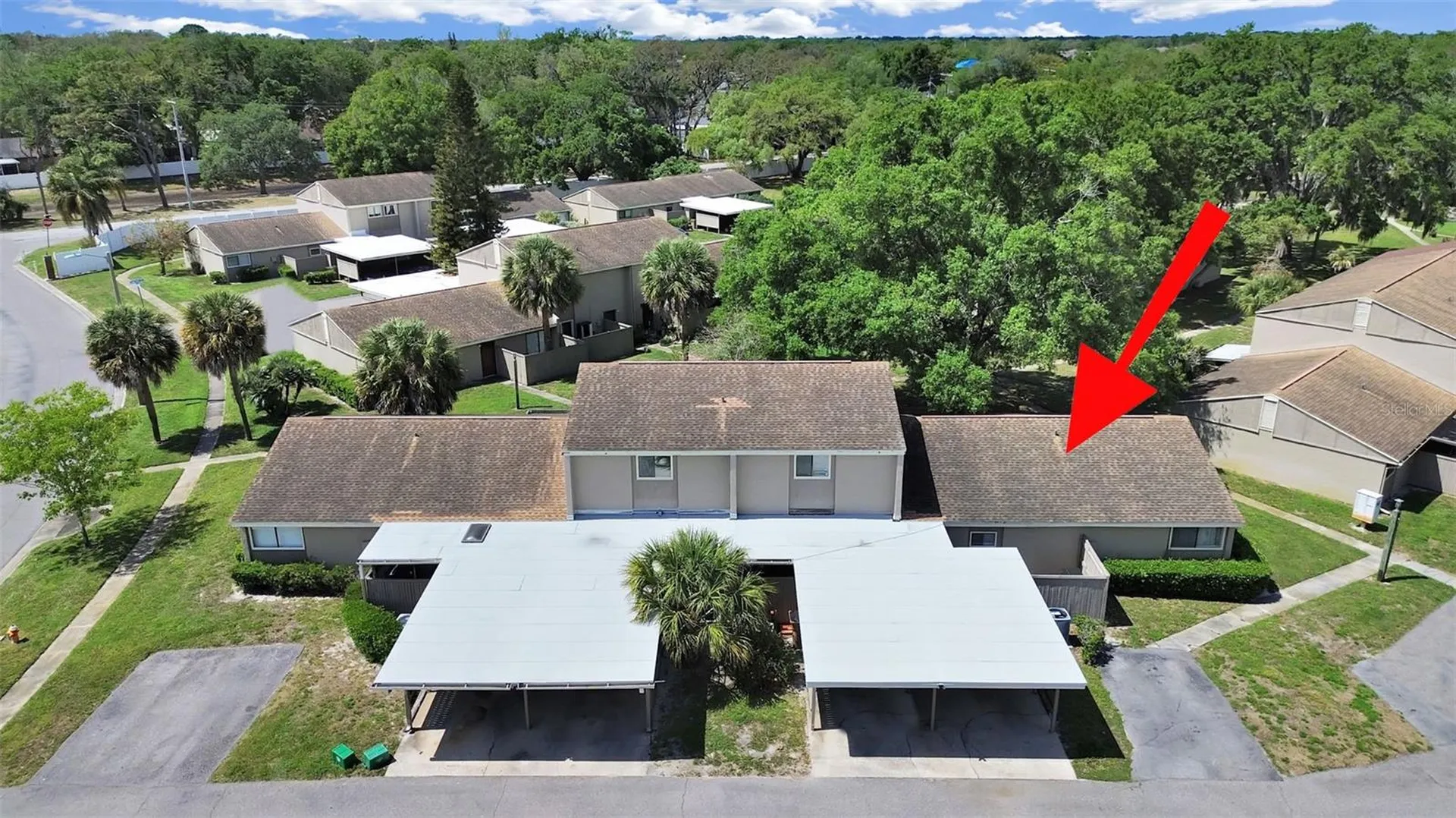 8608 Cattail Drive Temple Terrace FL 33637