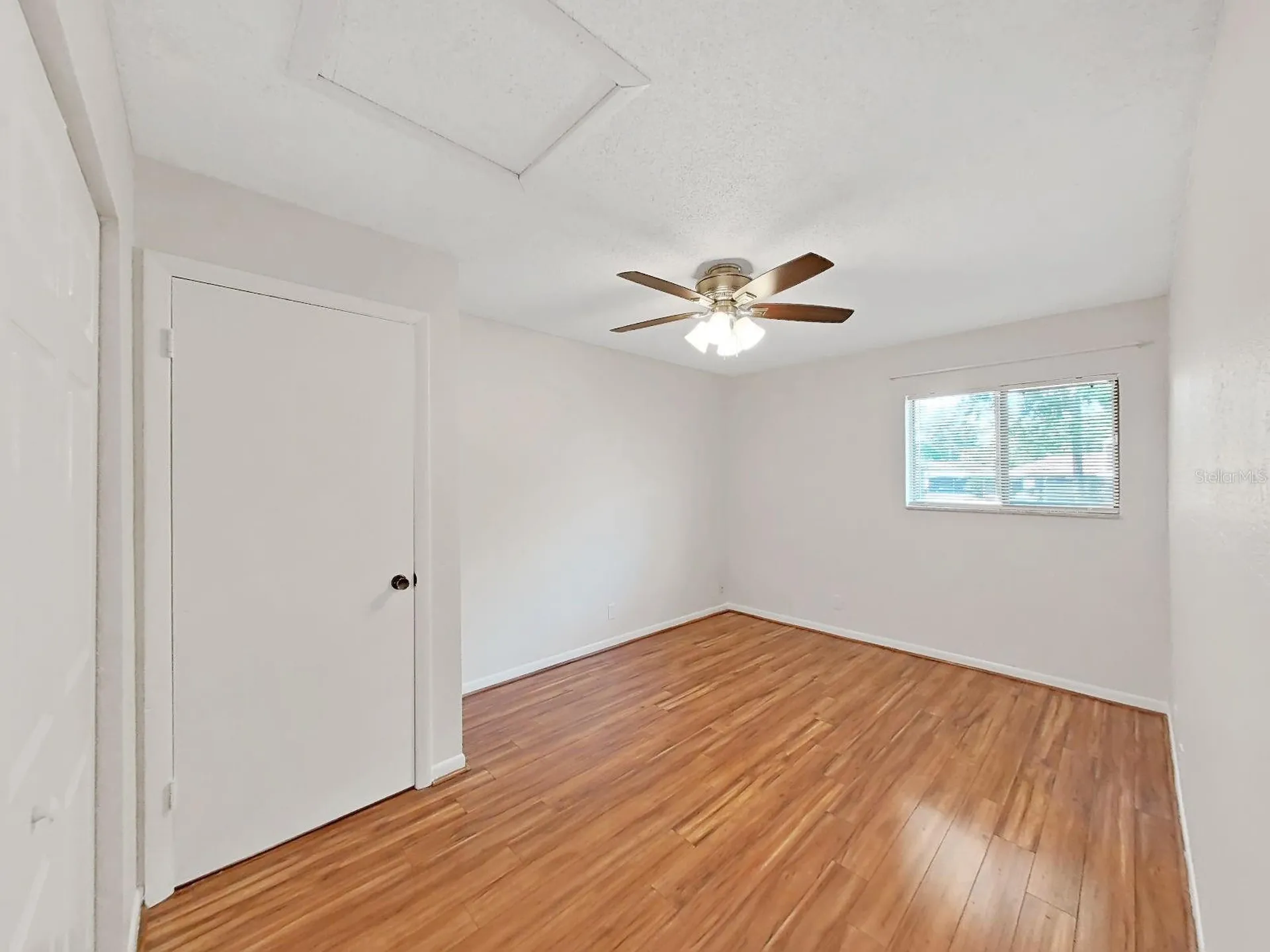 8608 Cattail Drive Temple Terrace FL 33637