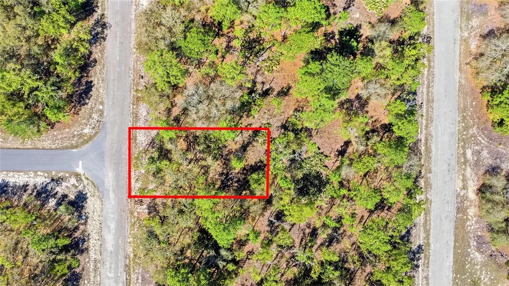 1877 W Pendleton Street Dunnellon FL 34434