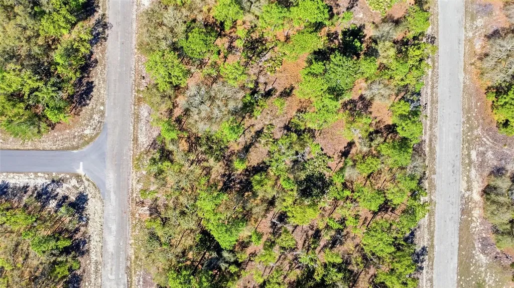 1877 W Pendleton Street Dunnellon FL 34434