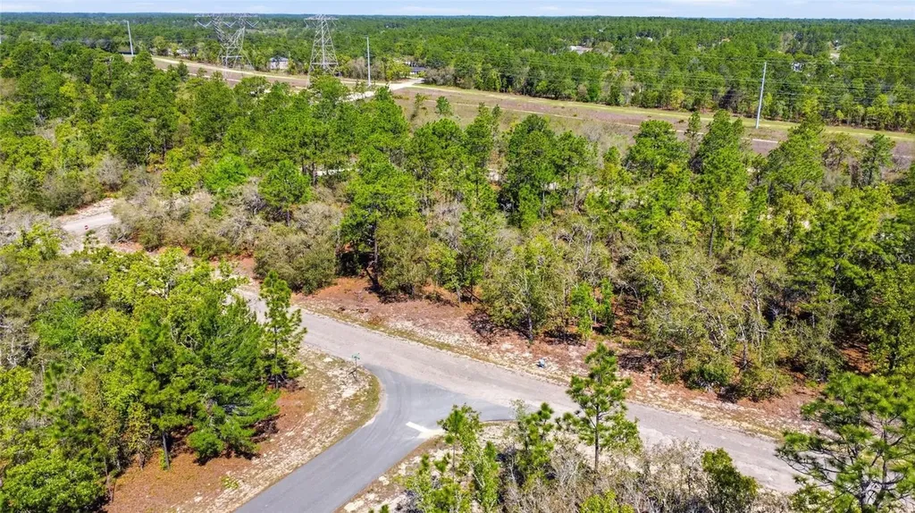 1877 W Pendleton Street Dunnellon FL 34434