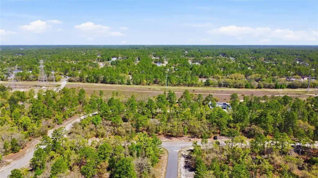 1877 W Pendleton Street Dunnellon FL 34434