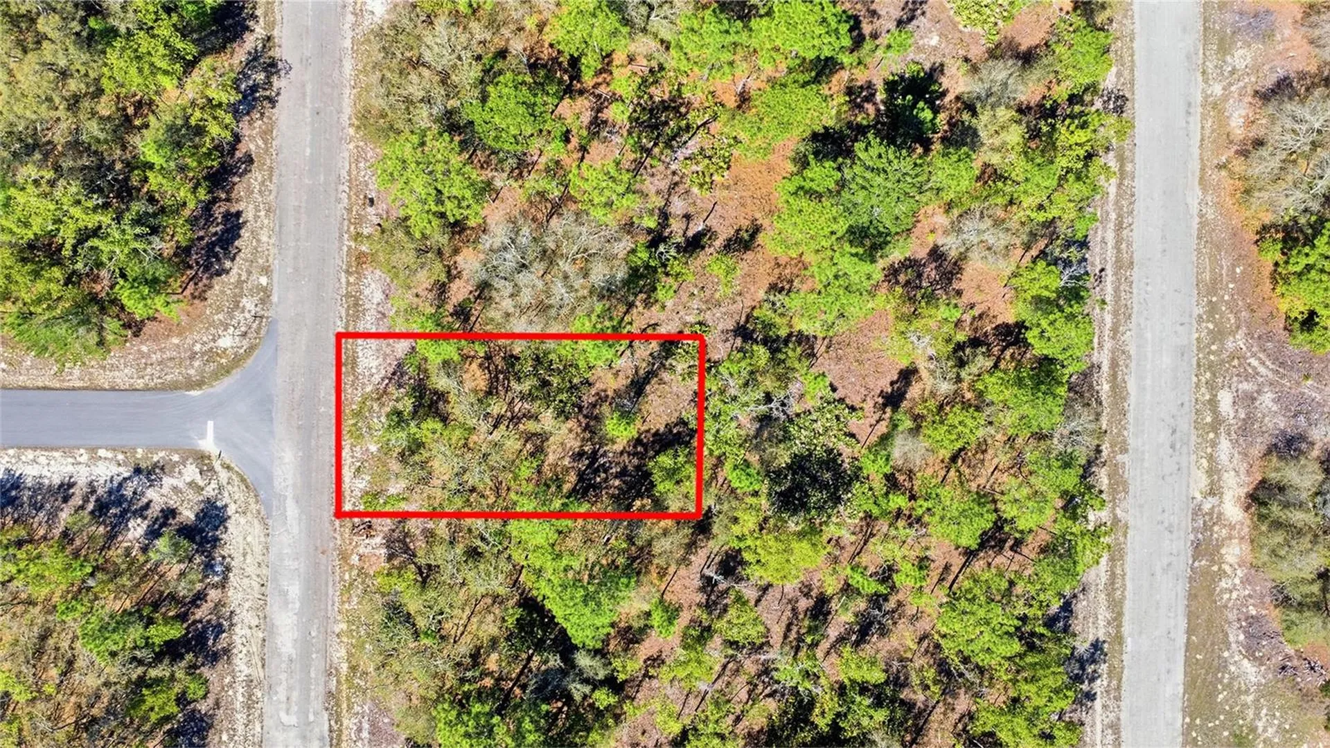 1877 W Pendleton Street Dunnellon FL 34434