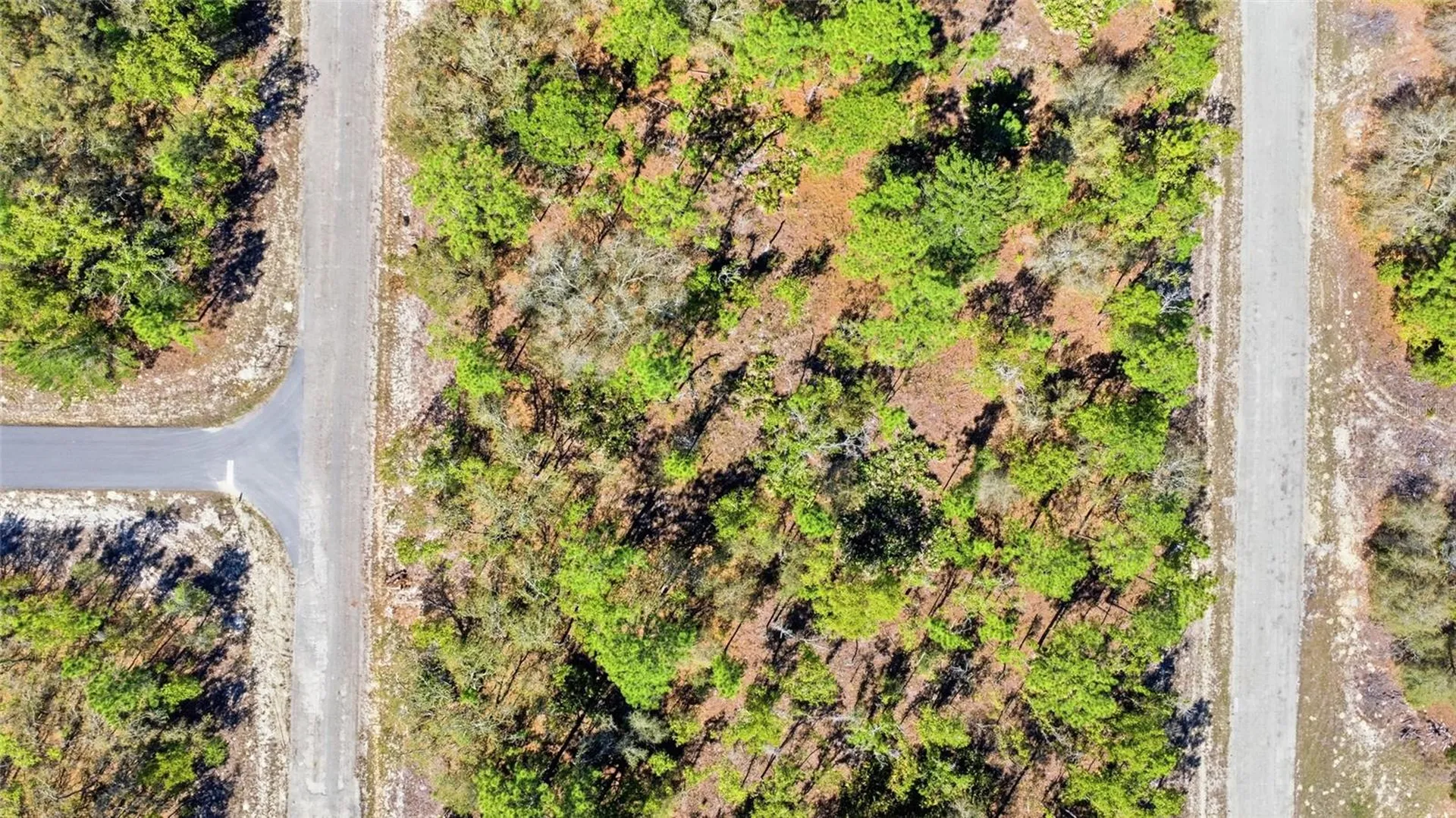 1877 W Pendleton Street Dunnellon FL 34434