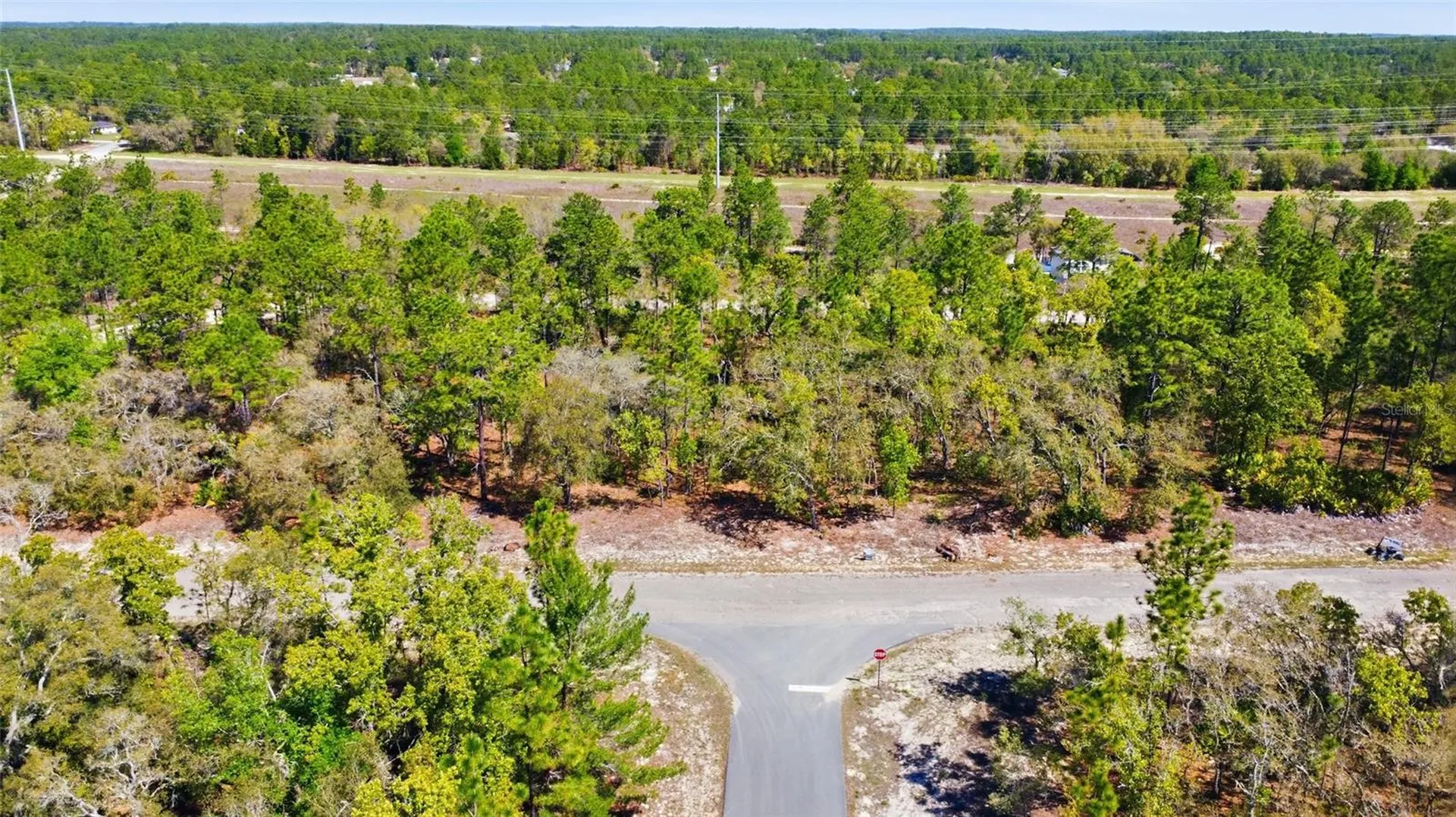1877 W Pendleton Street Dunnellon FL 34434