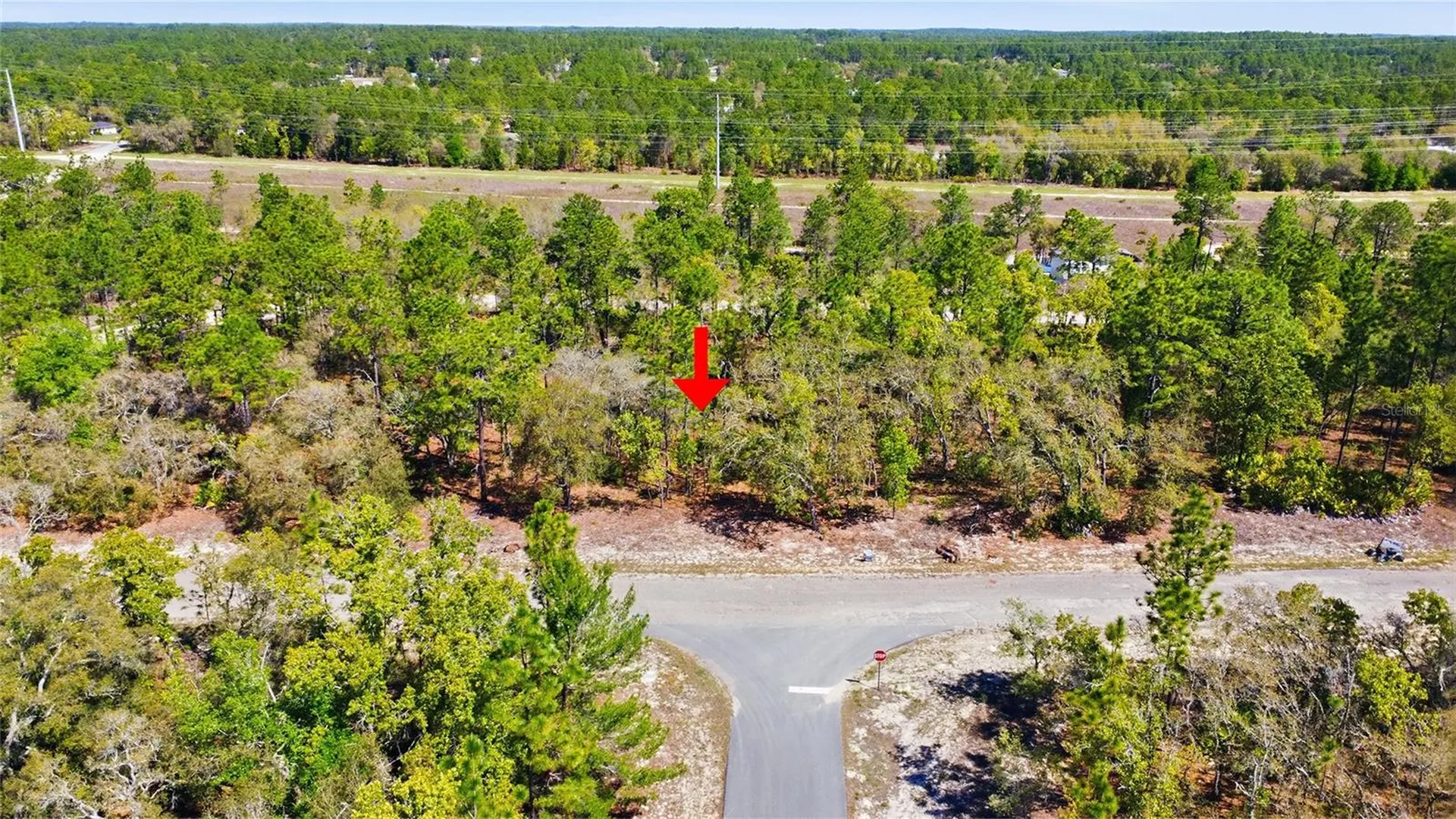 1877 W Pendleton Street Dunnellon FL 34434