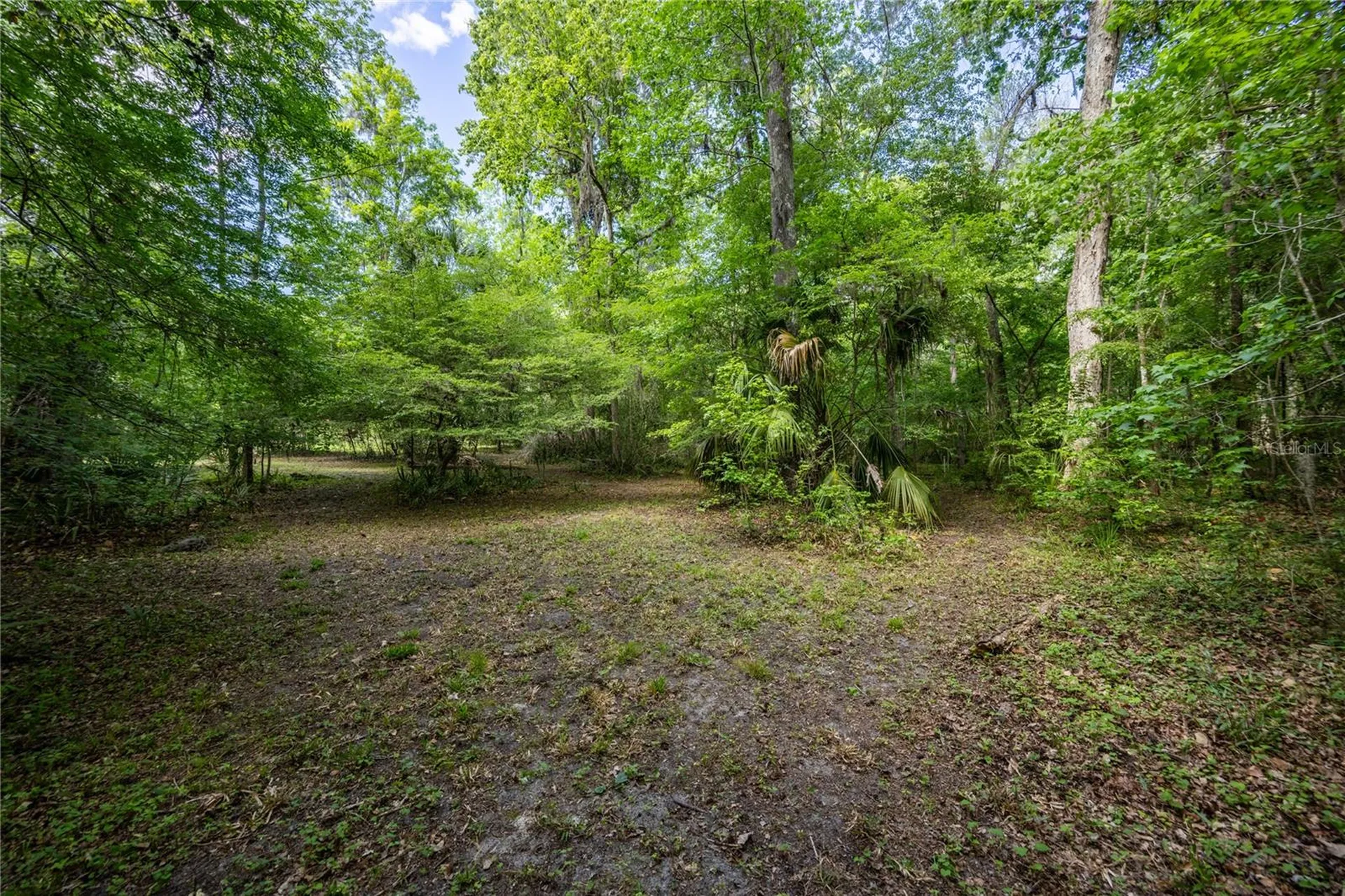 3519 NW 30th Boulevard Gainesville FL 32605