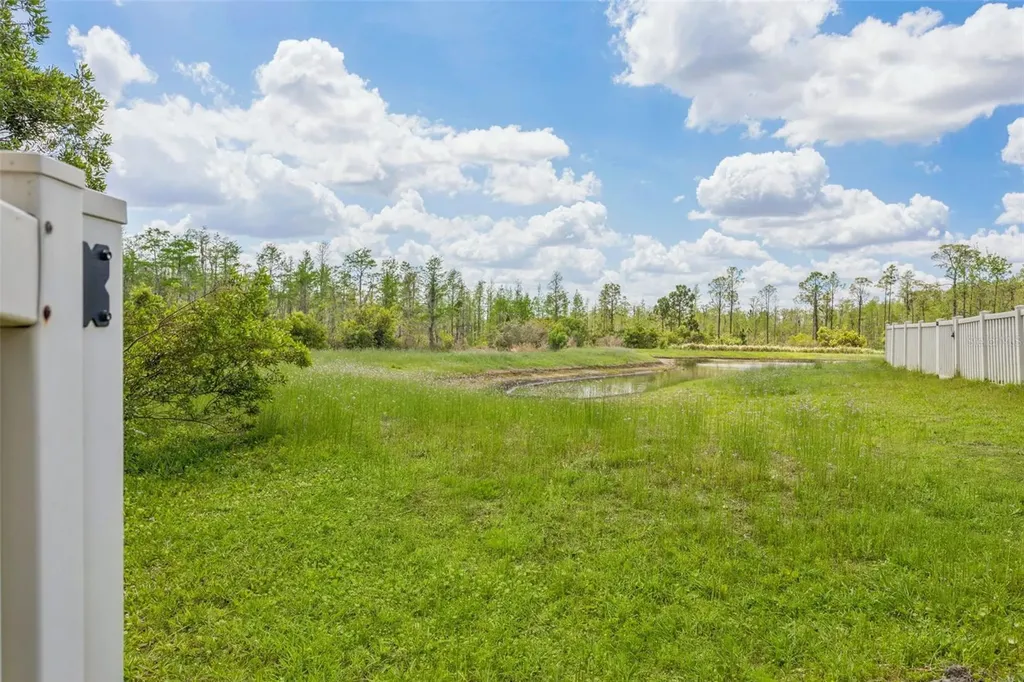 21922 Crest Meadow Drive Land O Lakes FL 34637