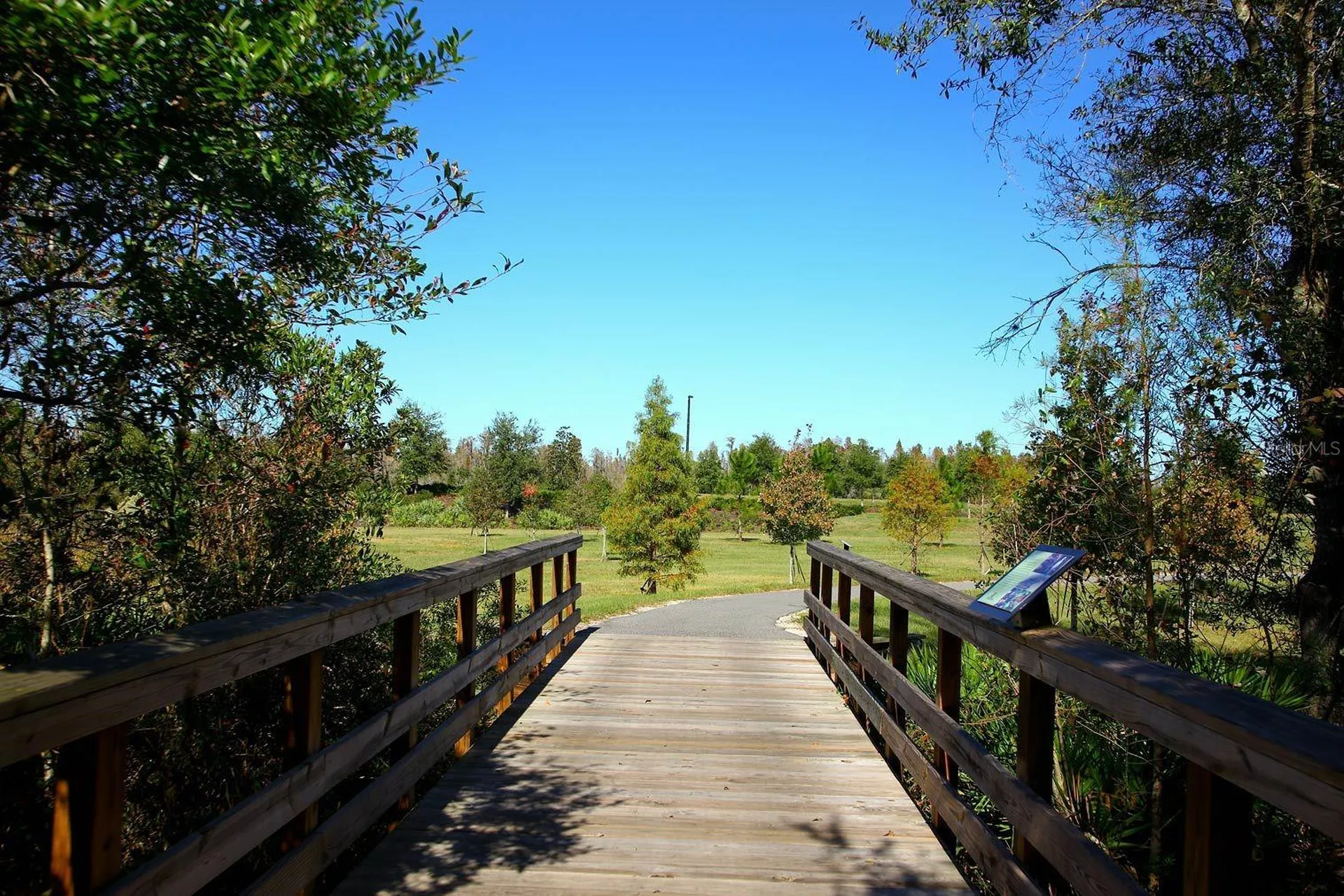 21922 Crest Meadow Drive Land O Lakes FL 34637