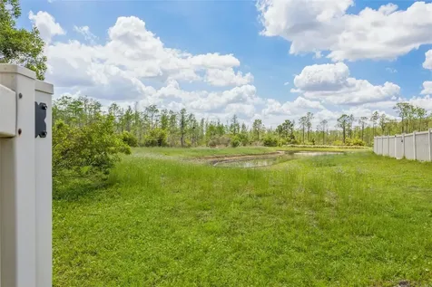 21922 Crest Meadow Drive Land O Lakes FL 34637