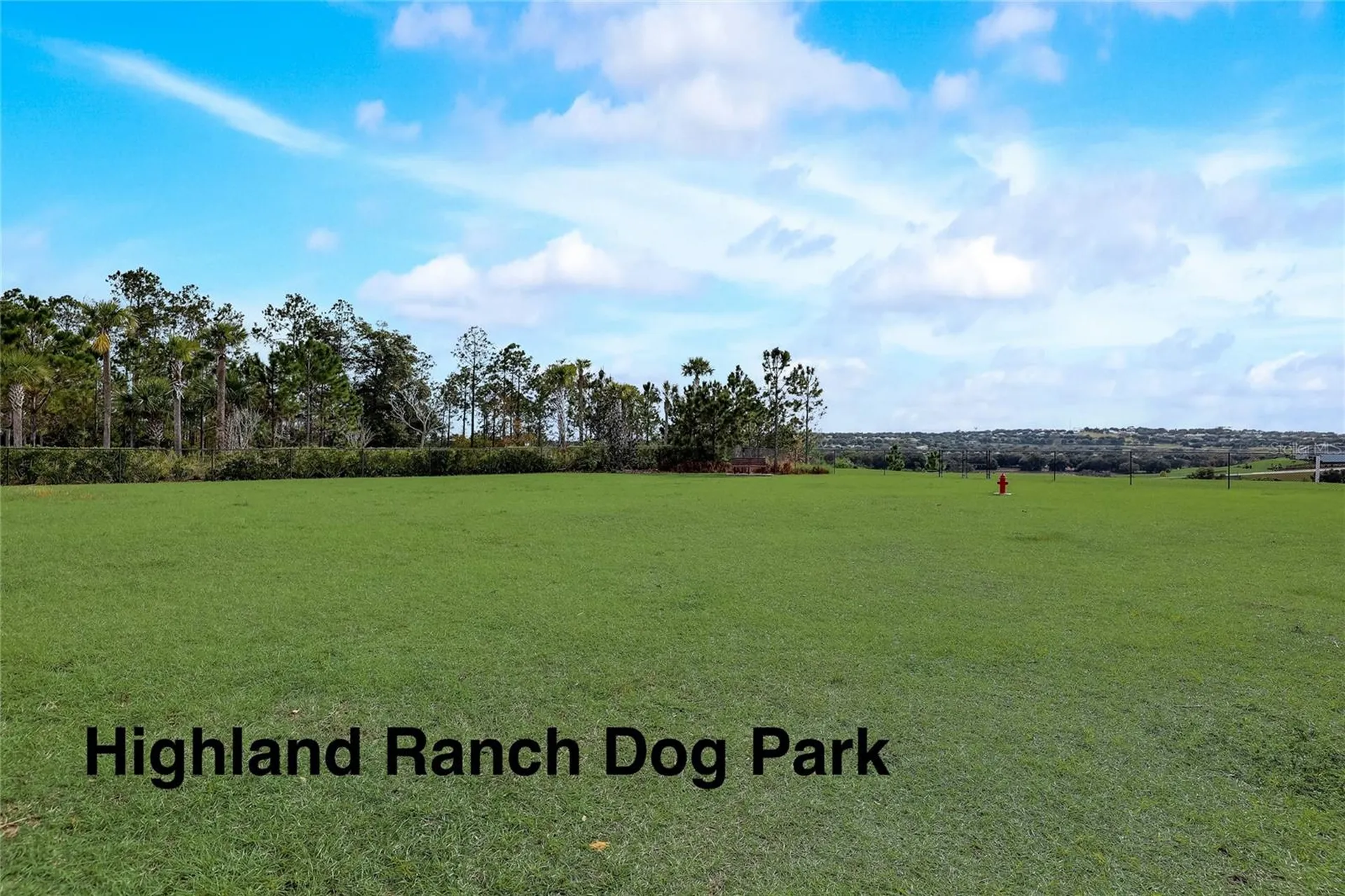 588 Autumn Ash Drive Clermont FL 34715