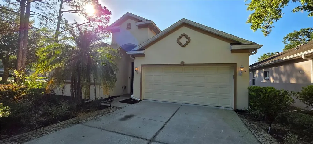 10906 Tree Cactus Loop Land O Lakes FL 34638