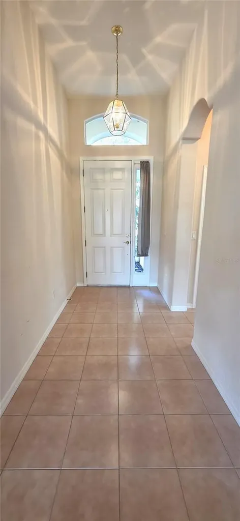 10906 Tree Cactus Loop Land O Lakes FL 34638