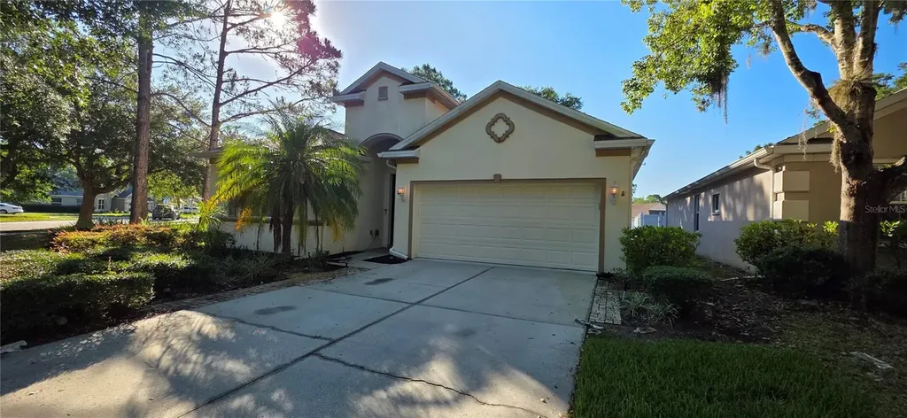 10906 Tree Cactus Loop Land O Lakes FL 34638