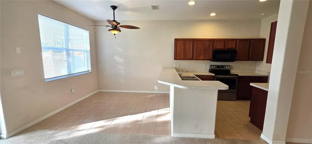 10906 Tree Cactus Loop Land O Lakes FL 34638