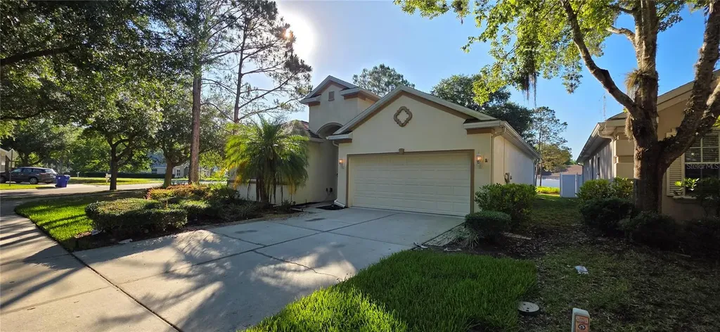 10906 Tree Cactus Loop Land O Lakes FL 34638