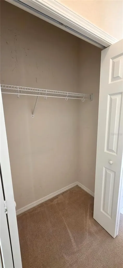 10906 Tree Cactus Loop Land O Lakes FL 34638