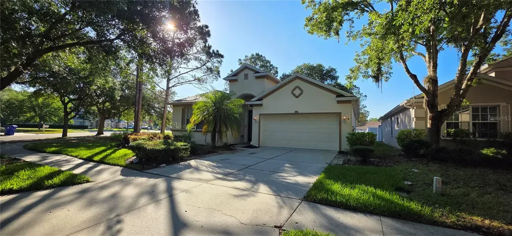 10906 Tree Cactus Loop Land O Lakes FL 34638