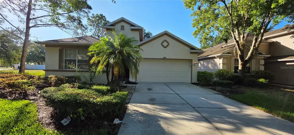 10906 Tree Cactus Loop Land O Lakes FL 34638