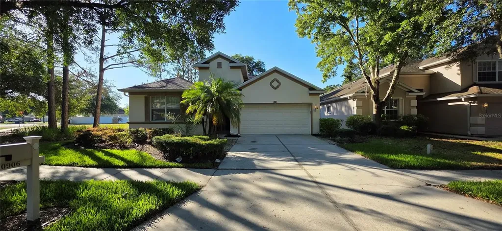 10906 Tree Cactus Loop Land O Lakes FL 34638