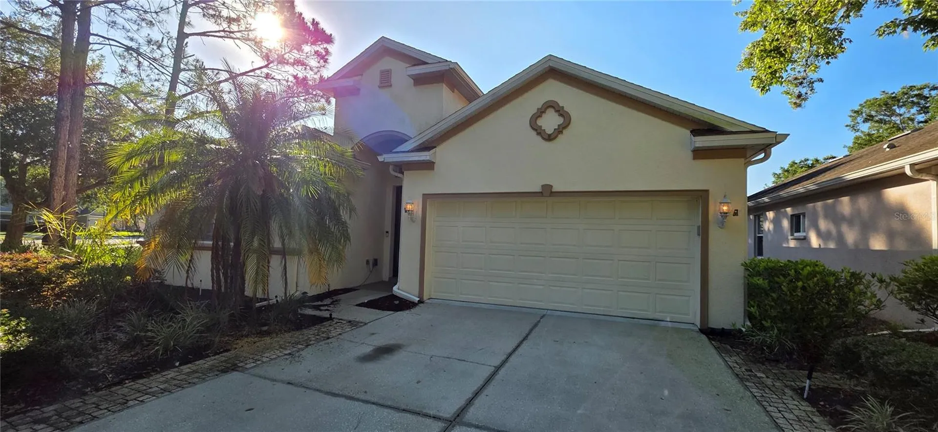 10906 Tree Cactus Loop Land O Lakes FL 34638