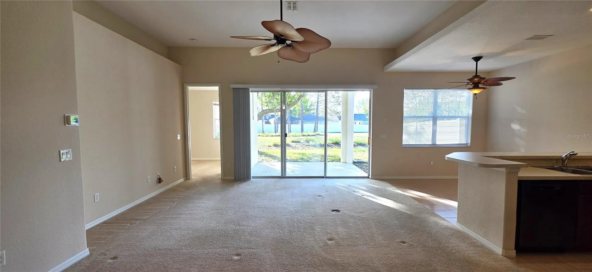 10906 Tree Cactus Loop Land O Lakes FL 34638