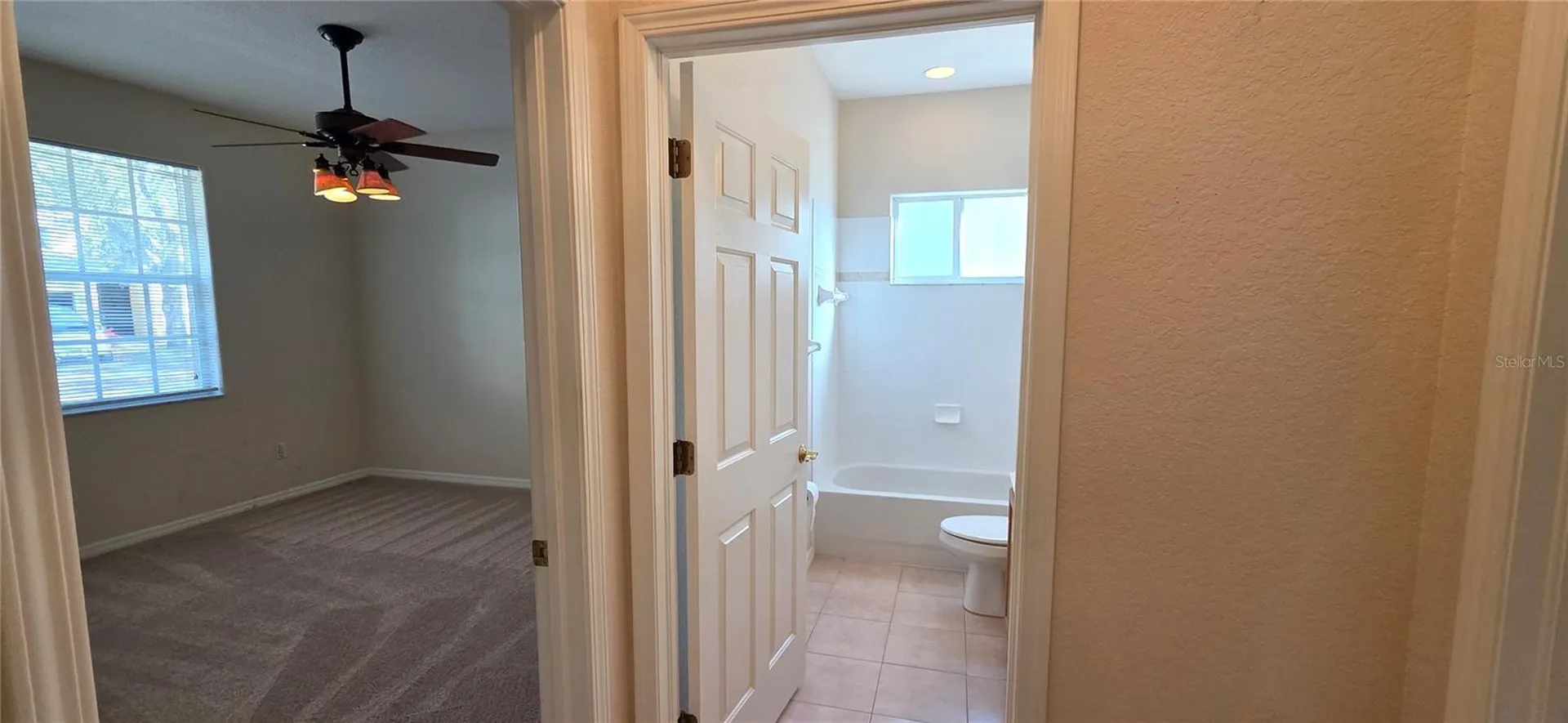 10906 Tree Cactus Loop Land O Lakes FL 34638
