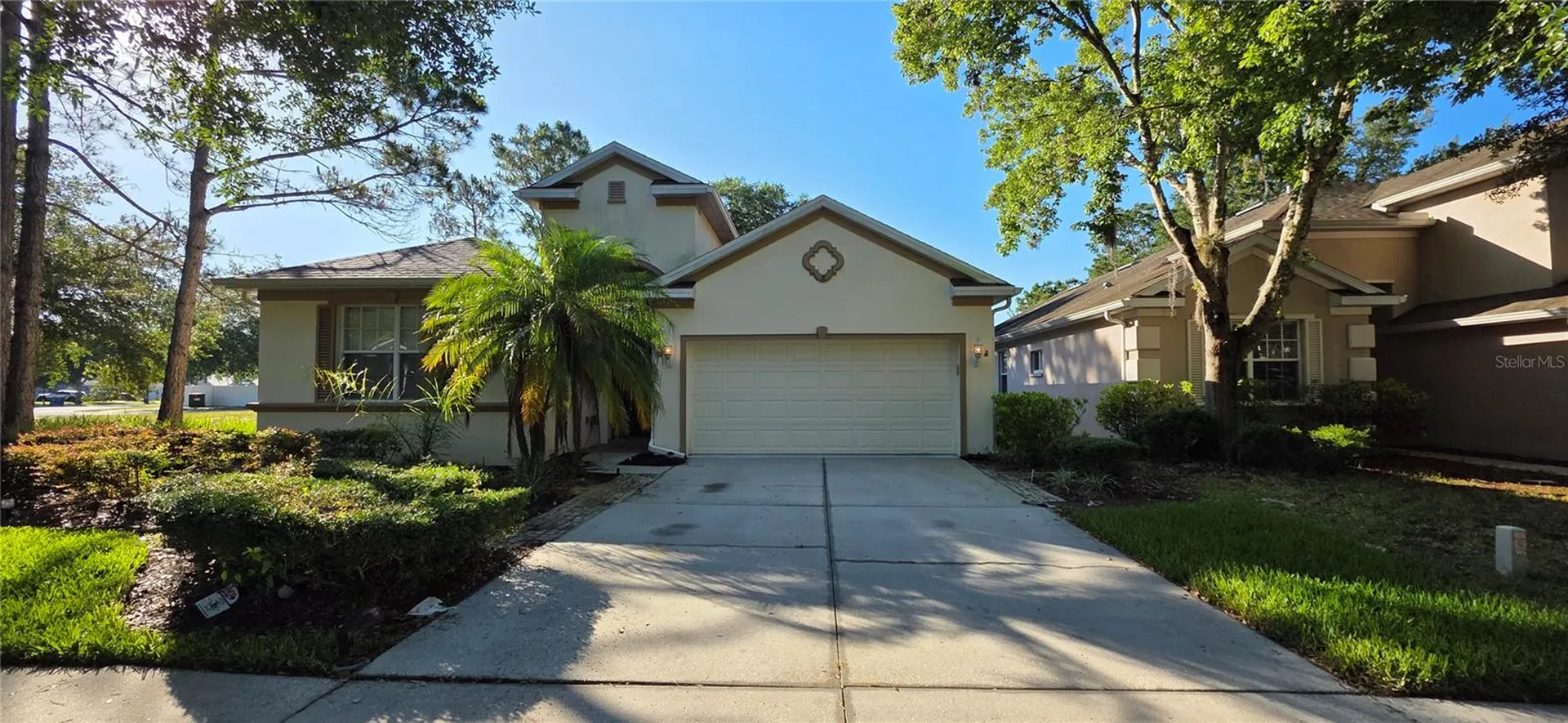 10906 Tree Cactus Loop Land O Lakes FL 34638