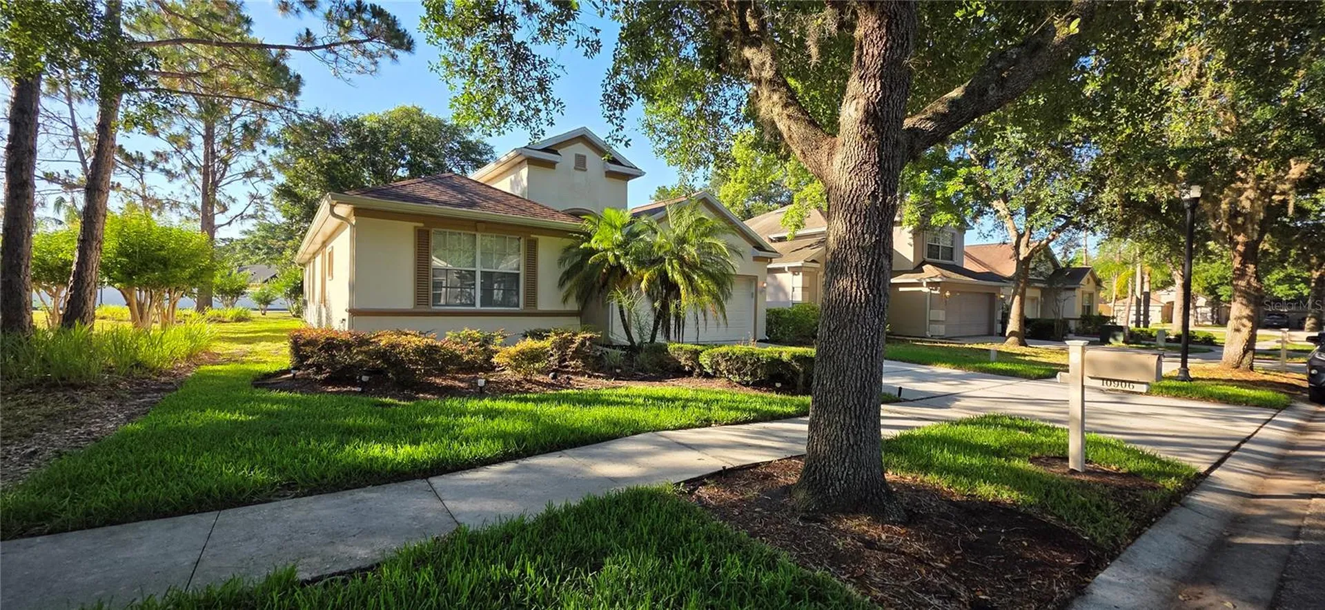 10906 Tree Cactus Loop Land O Lakes FL 34638