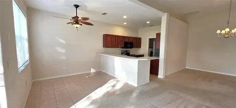 10906 Tree Cactus Loop Land O Lakes FL 34638