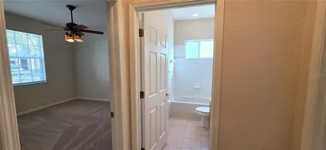 10906 Tree Cactus Loop Land O Lakes FL 34638