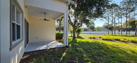 10906 Tree Cactus Loop Land O Lakes FL 34638