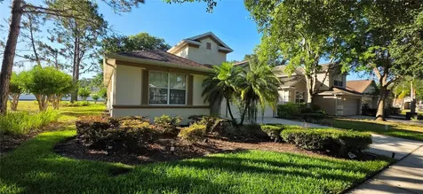 10906 Tree Cactus Loop Land O Lakes FL 34638