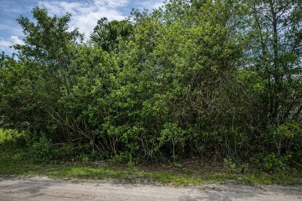 3342 Fitzpatrick Avenue SW Palm Bay FL 32908