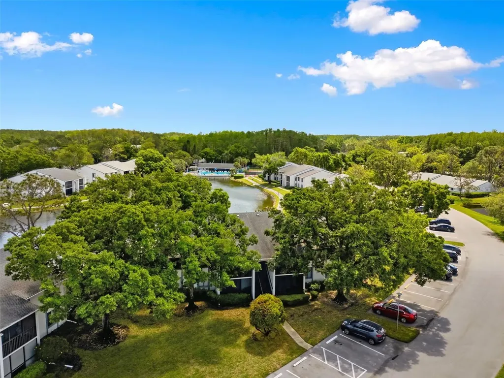1135 Pine Ridge Circle W Tarpon Springs FL 34688