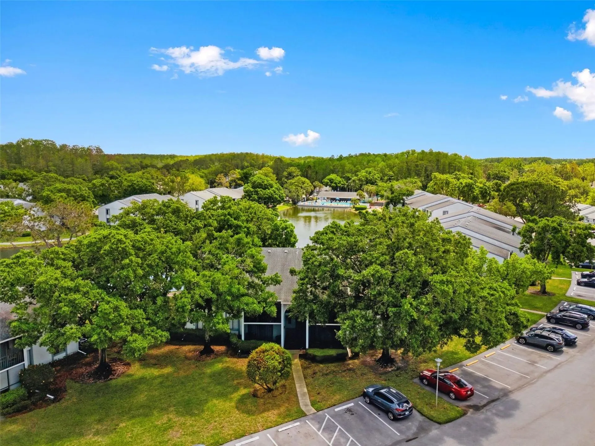 1135 Pine Ridge Circle W Tarpon Springs FL 34688