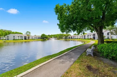 1135 Pine Ridge Circle W Tarpon Springs FL 34688