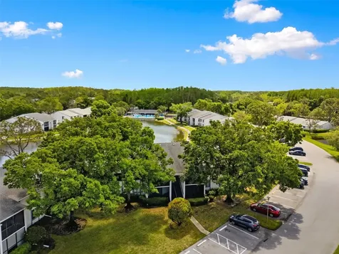 1135 Pine Ridge Circle W Tarpon Springs FL 34688