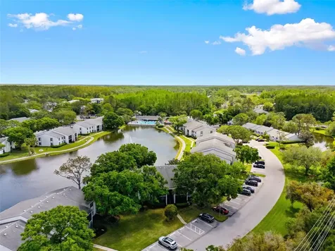 1135 Pine Ridge Circle W Tarpon Springs FL 34688