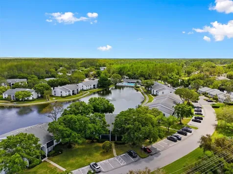 1135 Pine Ridge Circle W Tarpon Springs FL 34688