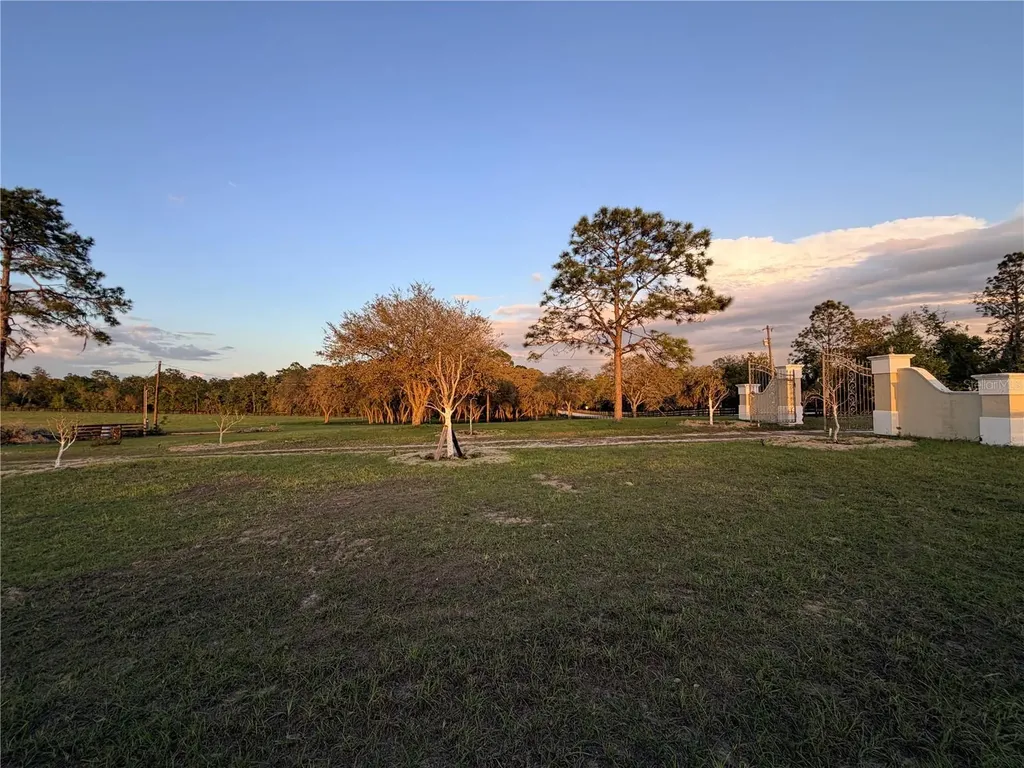 12451 NE 20th Street Williston FL 32696