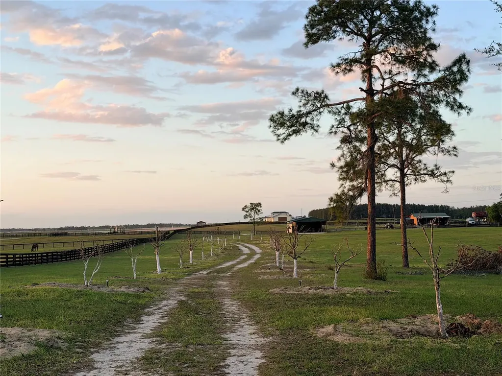 12451 NE 20th Street Williston FL 32696