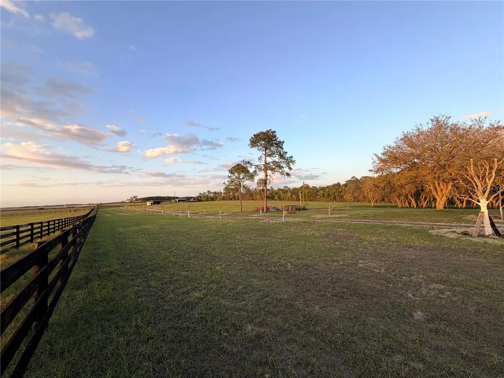 12451 NE 20th Street Williston FL 32696