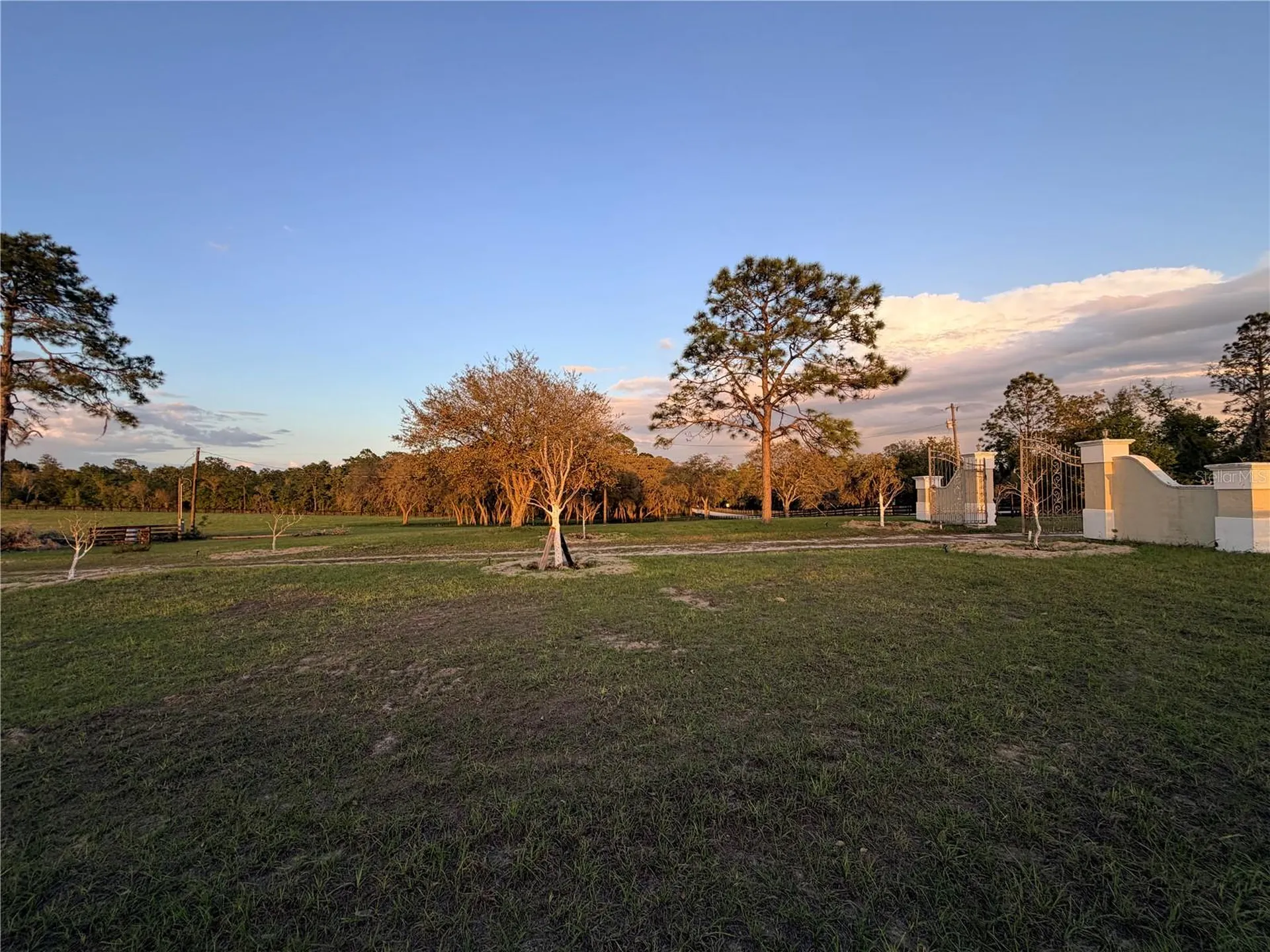 12451 NE 20th Street Williston FL 32696