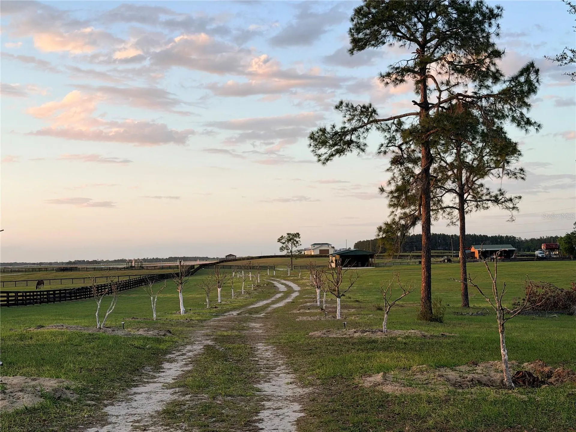 12451 NE 20th Street Williston FL 32696