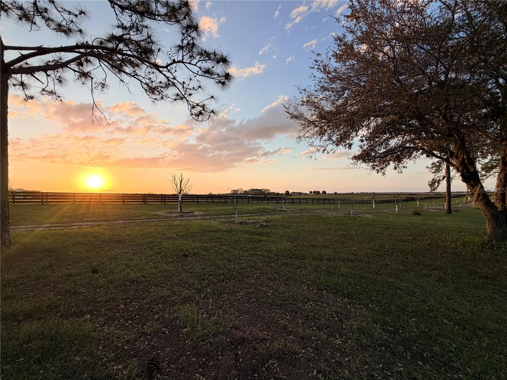 12451 NE 20th Street Williston FL 32696