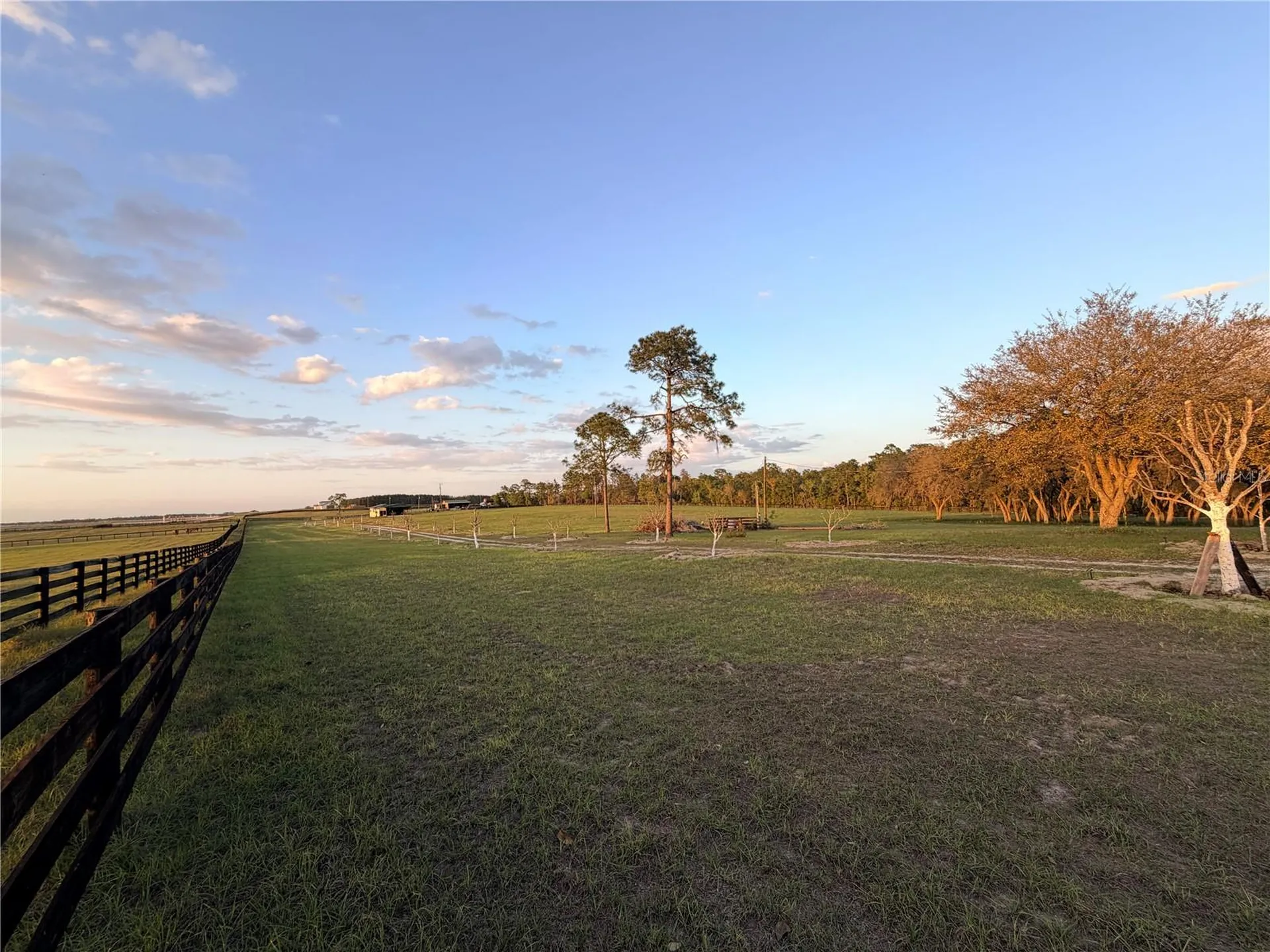 12451 NE 20th Street Williston FL 32696