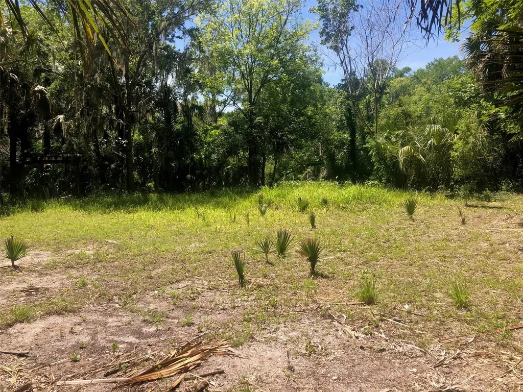241 Nova Drive Sanford FL 32771