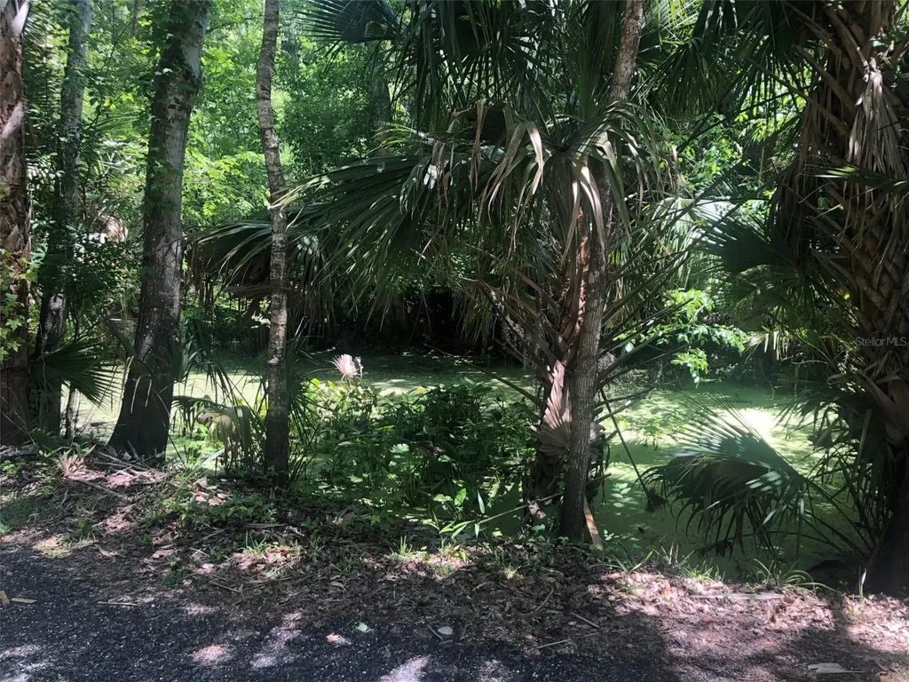 241 Nova Drive Sanford FL 32771