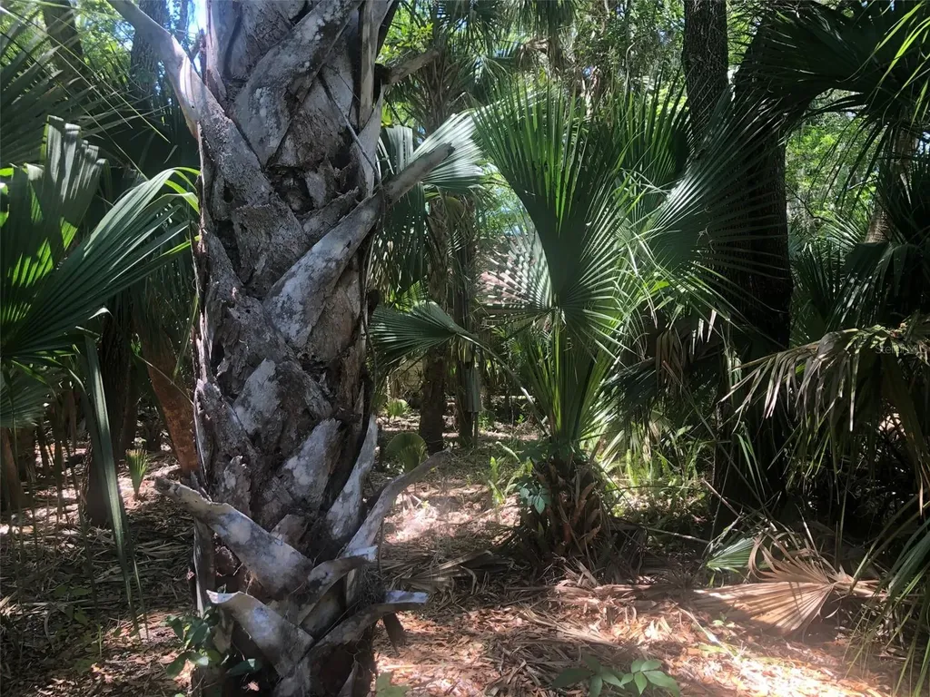 241 Nova Drive Sanford FL 32771